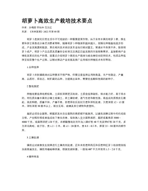胡萝卜高效生产栽培技术要点