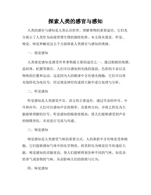 探索人类的感官与感知