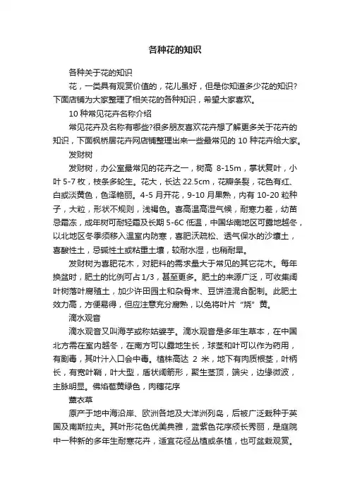 各种花的知识
