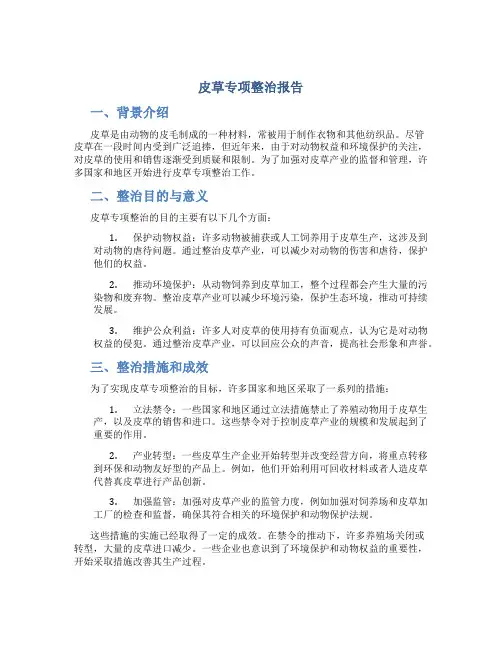 皮草专项整治报告