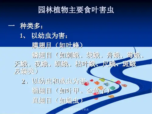 园林植物主要食叶害虫