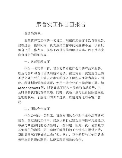 第普实工作自查报告