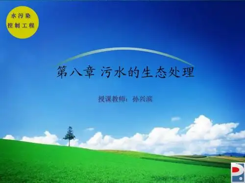 水污染控制工程第八章