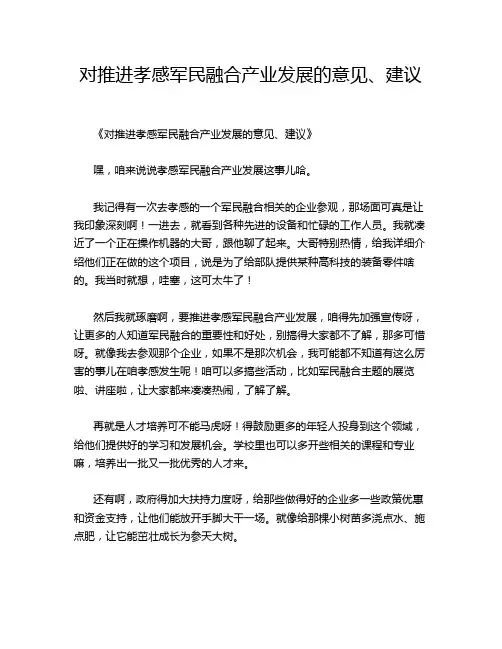 对推进孝感军民融合产业发展的意见、建议