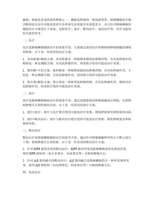 肺癌鳞癌辅助治疗方案