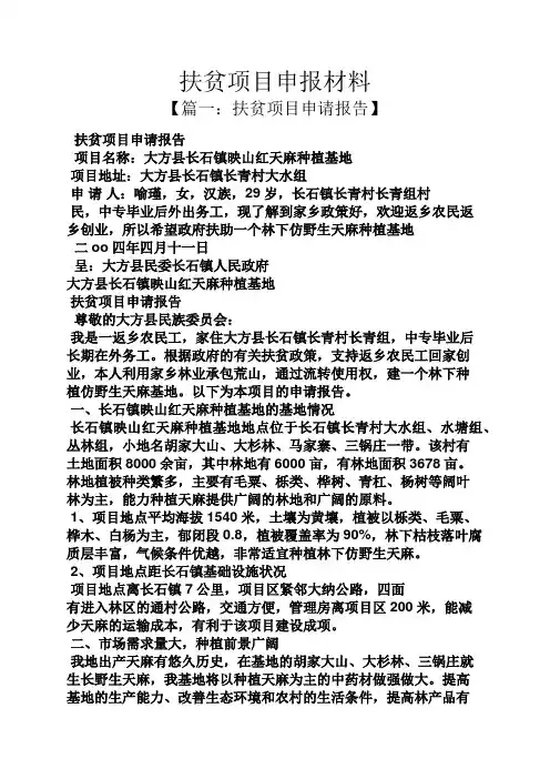 扶贫项目申报材料