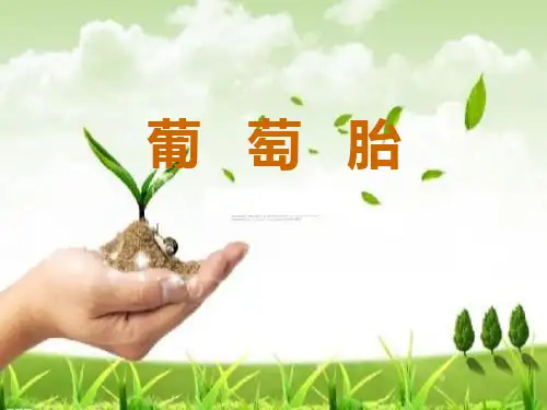 葡萄胎---中医妇科学