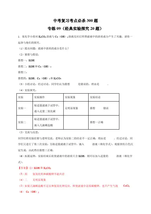 专练09(经典实验探究20题)-2021年九年级化学中考备考考点必杀300题(人教版)(解析版)