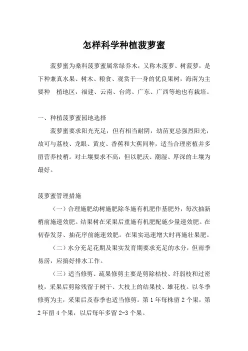 怎样科学种植菠萝蜜