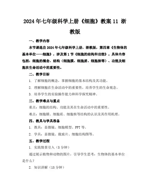 2024年七年级科学上册《细胞》教案11 浙教版