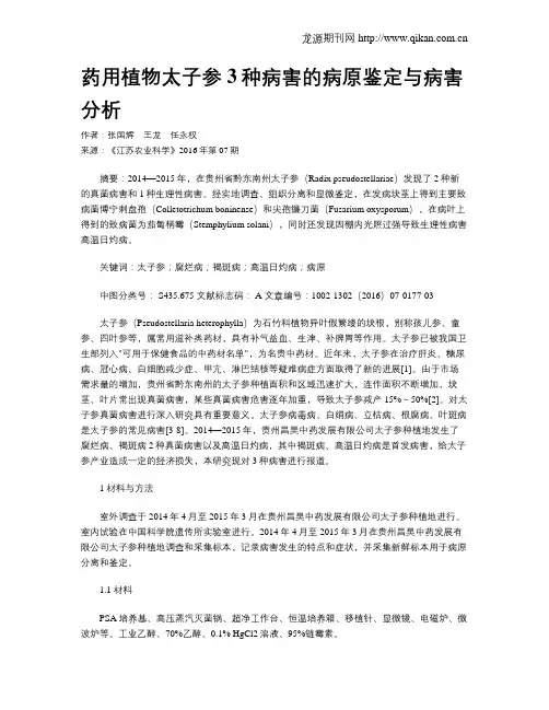 药用植物太子参3种病害的病原鉴定与病害分析