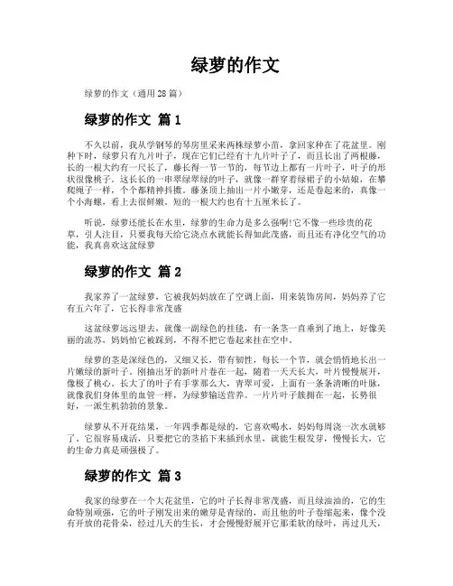 绿萝的作文