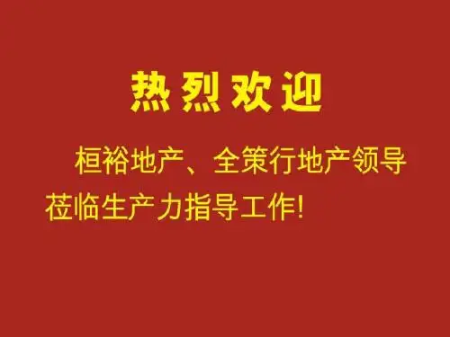 2019海口湾一号全案推广策略125p