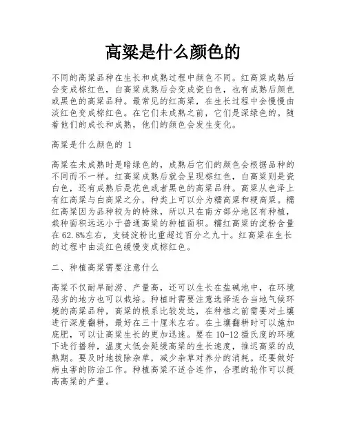 高粱是什么颜色的