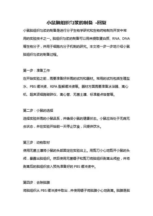 小鼠脑组织匀浆的制备 -回复 2