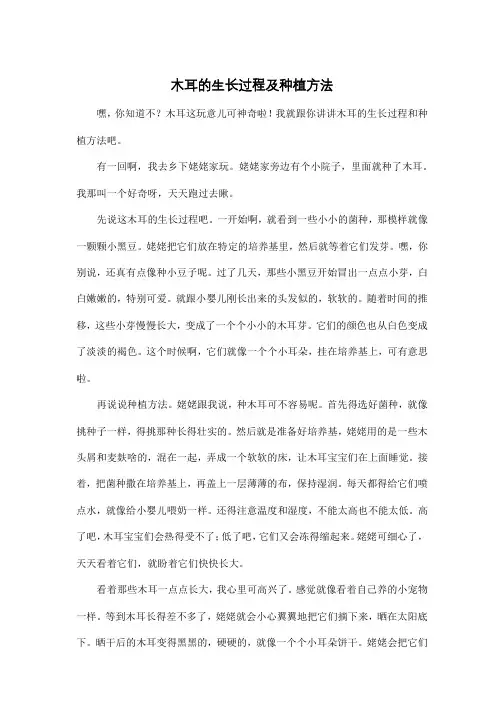 木耳的生长过程及种植方法