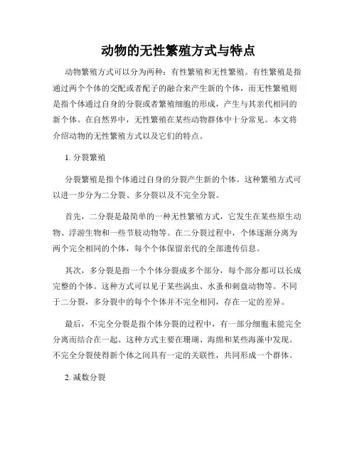 动物的无性繁殖方式与特点