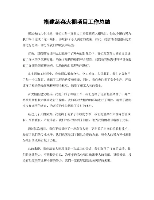 搭建蔬菜大棚项目工作总结