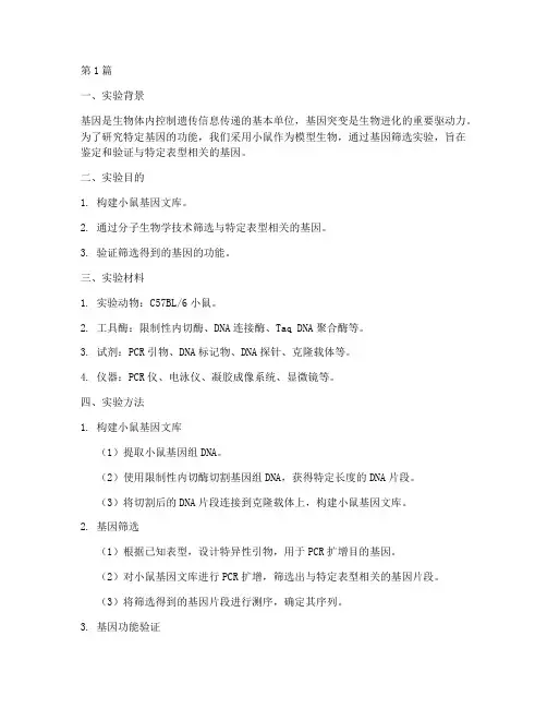 小鼠基因筛选实验报告(3篇)
