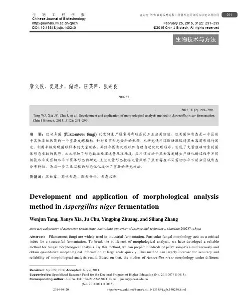 黑曲霉发酵过程中菌体形态的分析方法建立及应用_唐文俊