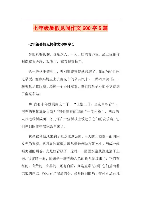 七年级暑假见闻作文600字5篇