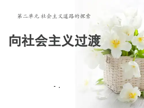 《向社会主义过渡》社会主义道路的探索PPT课件2