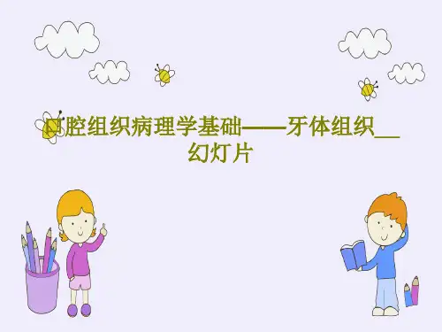 口腔组织病理学基础——牙体组织__幻灯片85页PPT