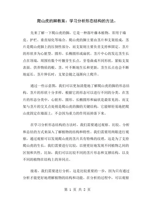 爬山虎的脚教案：学习分析形态结构的方法