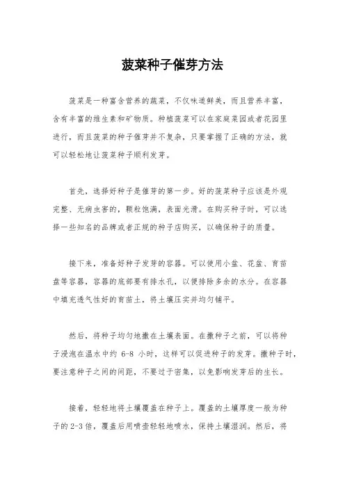 菠菜种子催芽方法