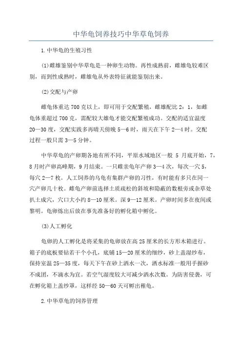 中华龟饲养技巧中华草龟饲养
