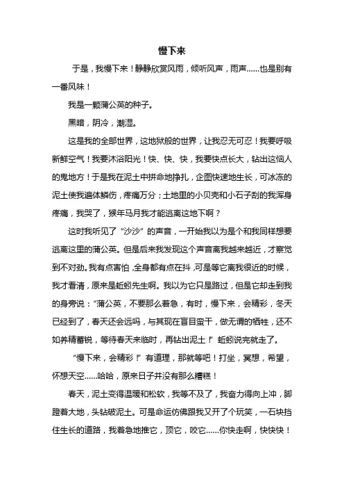 高一作文：慢下来作文800字