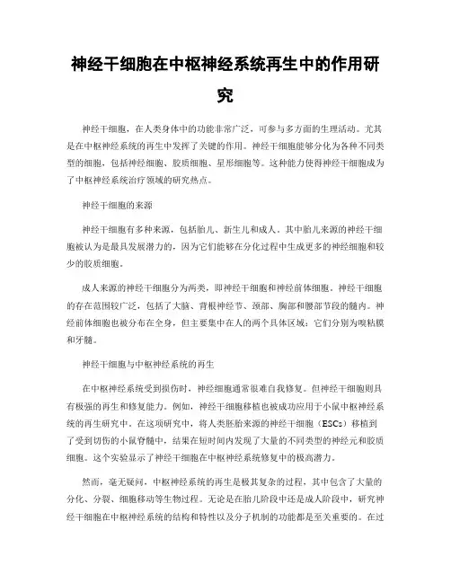 神经干细胞在中枢神经系统再生中的作用研究