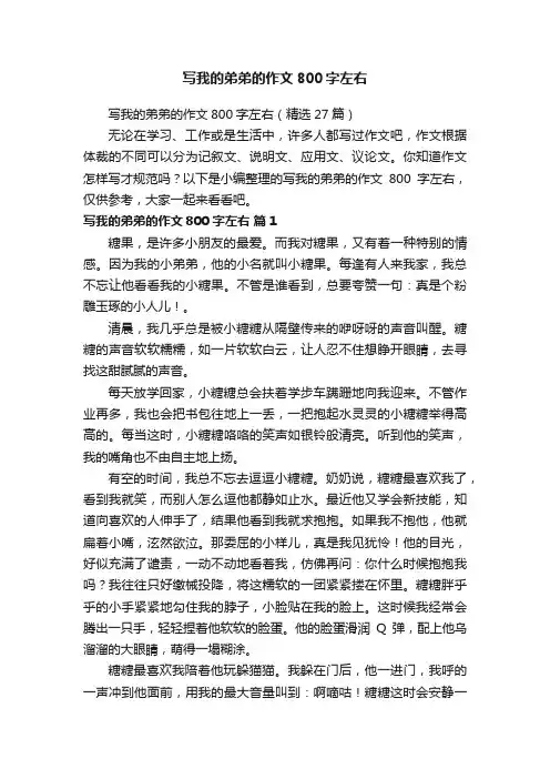 写我的弟弟的作文800字左右（精选27篇）