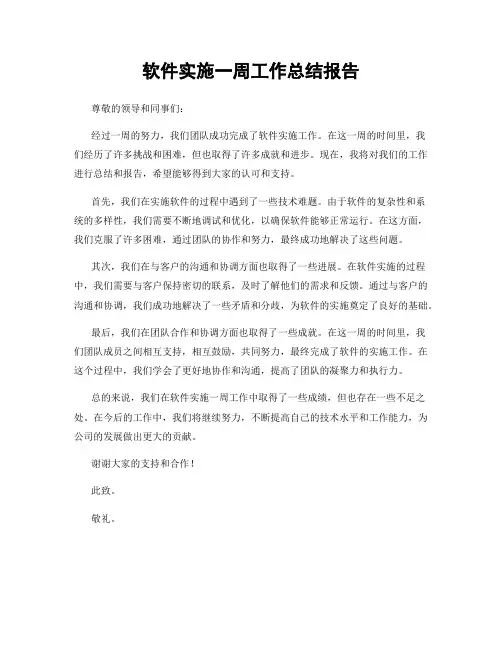 软件实施一周工作总结报告