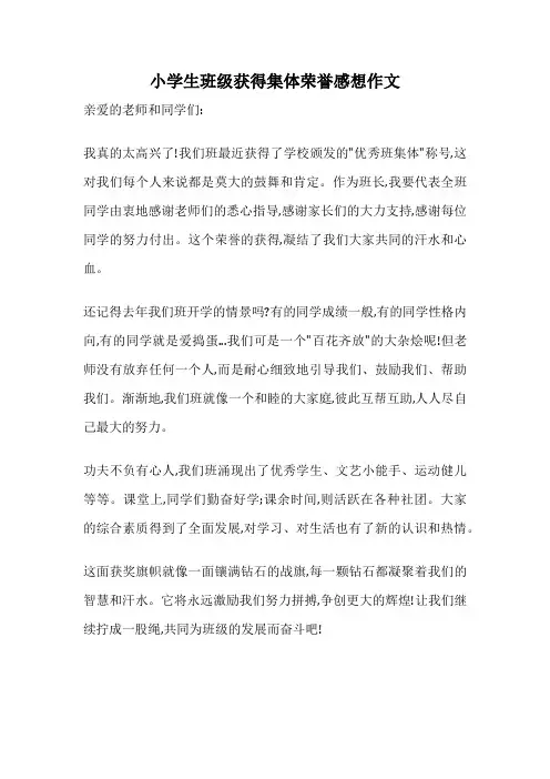 小学生班级获得集体荣誉感想作文