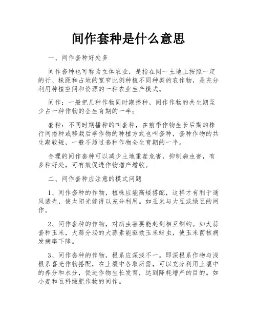间作套种是什么意思