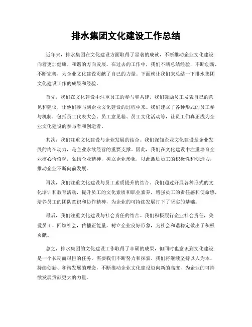 排水集团文化建设工作总结