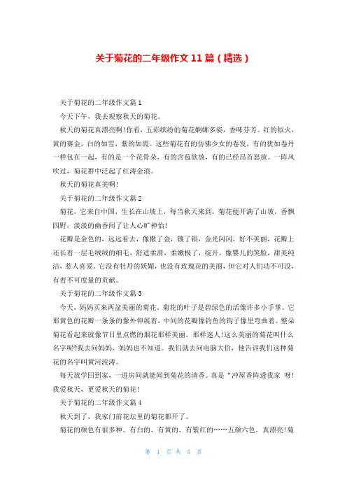 关于菊花的二年级作文11篇(精选)