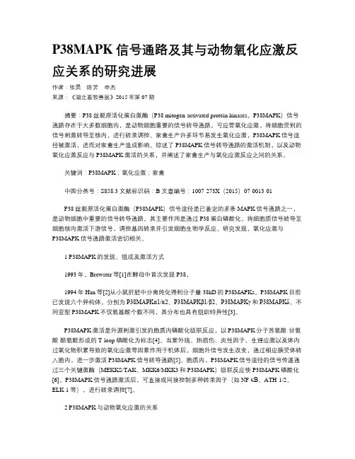 P38MAPK信号通路及其与动物氧化应激反应关系的研究进展
