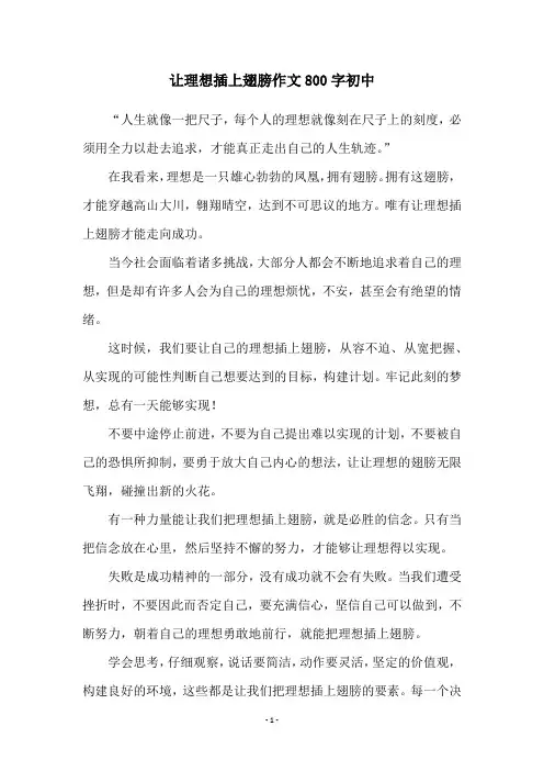 让理想插上翅膀作文800字初中