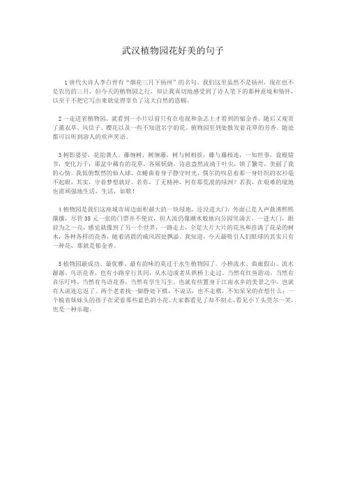 武汉植物园花好美的句子