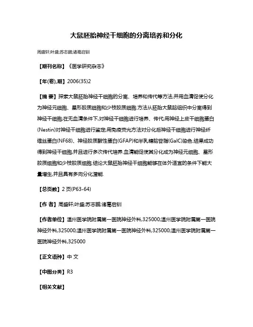 大鼠胚胎神经干细胞的分离培养和分化