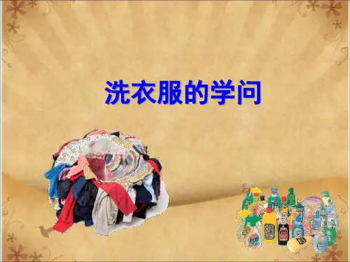 《4. 洗衣服的学问》1PPT课件