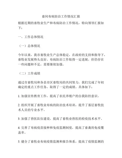畜间布病防治工作情况汇报
