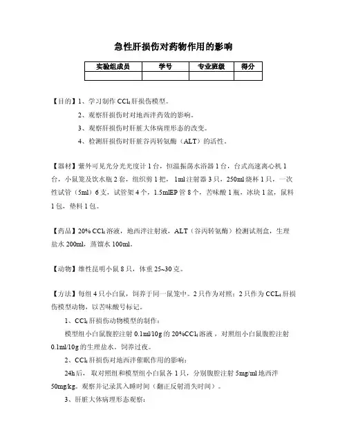 肝损伤实验报告（论文资料）