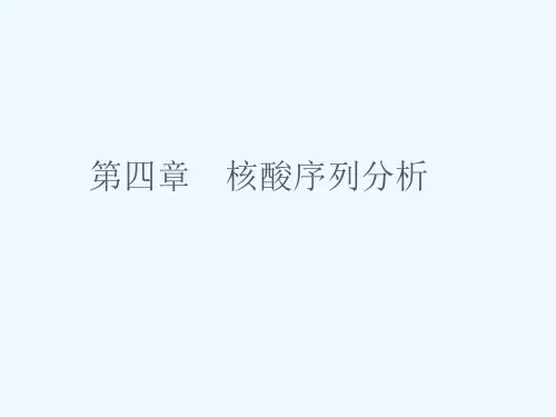 第四章核酸序列分析