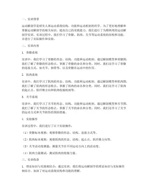 运动解剖学实训报告总结