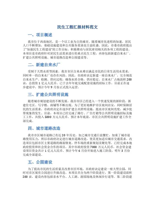 民生工程汇报材料范文