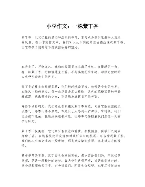 小学作文：一株紫丁香