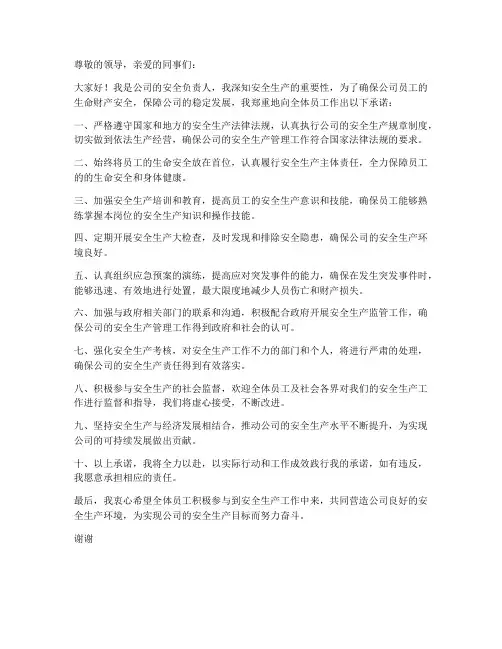 安全负责人安全生产承诺书
